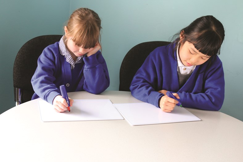 A3 Write 'N' Wipe Boards