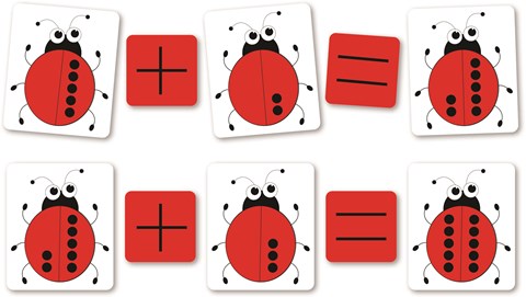 Magnetic Counting Ladybirds