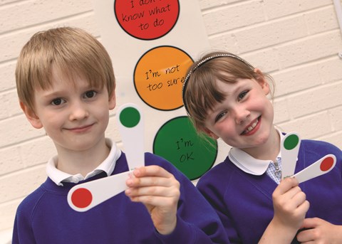 Traffic Light Poster and Pupil Fans