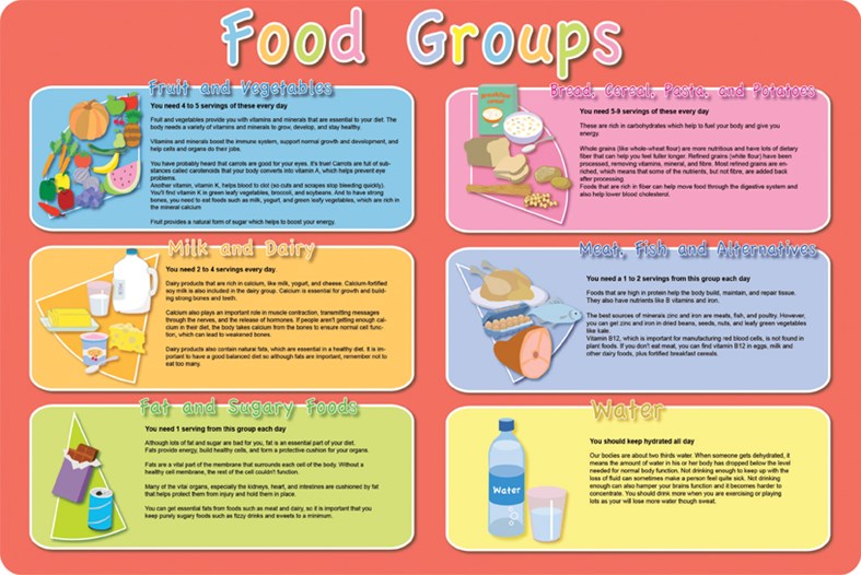 Food Groups