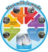 Food Cycles - Milk