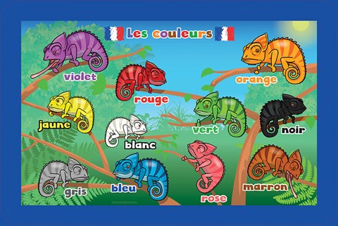 French Language Colours