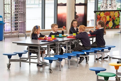 Rectangular Mobile Folding Table with 16 Seats