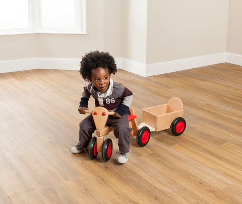 Toddler Trike and Trailer