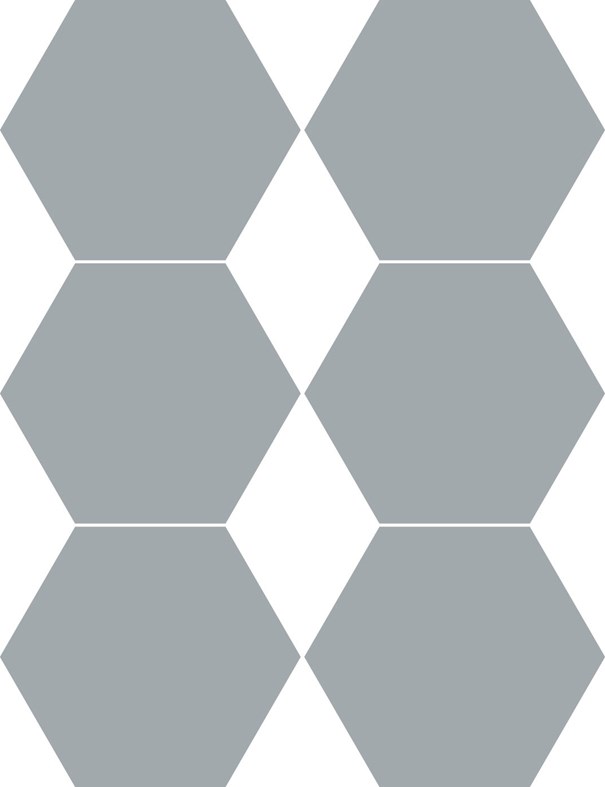Eco Board 