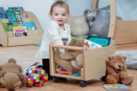 Mini Storage Trug