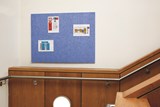 Eco Board 